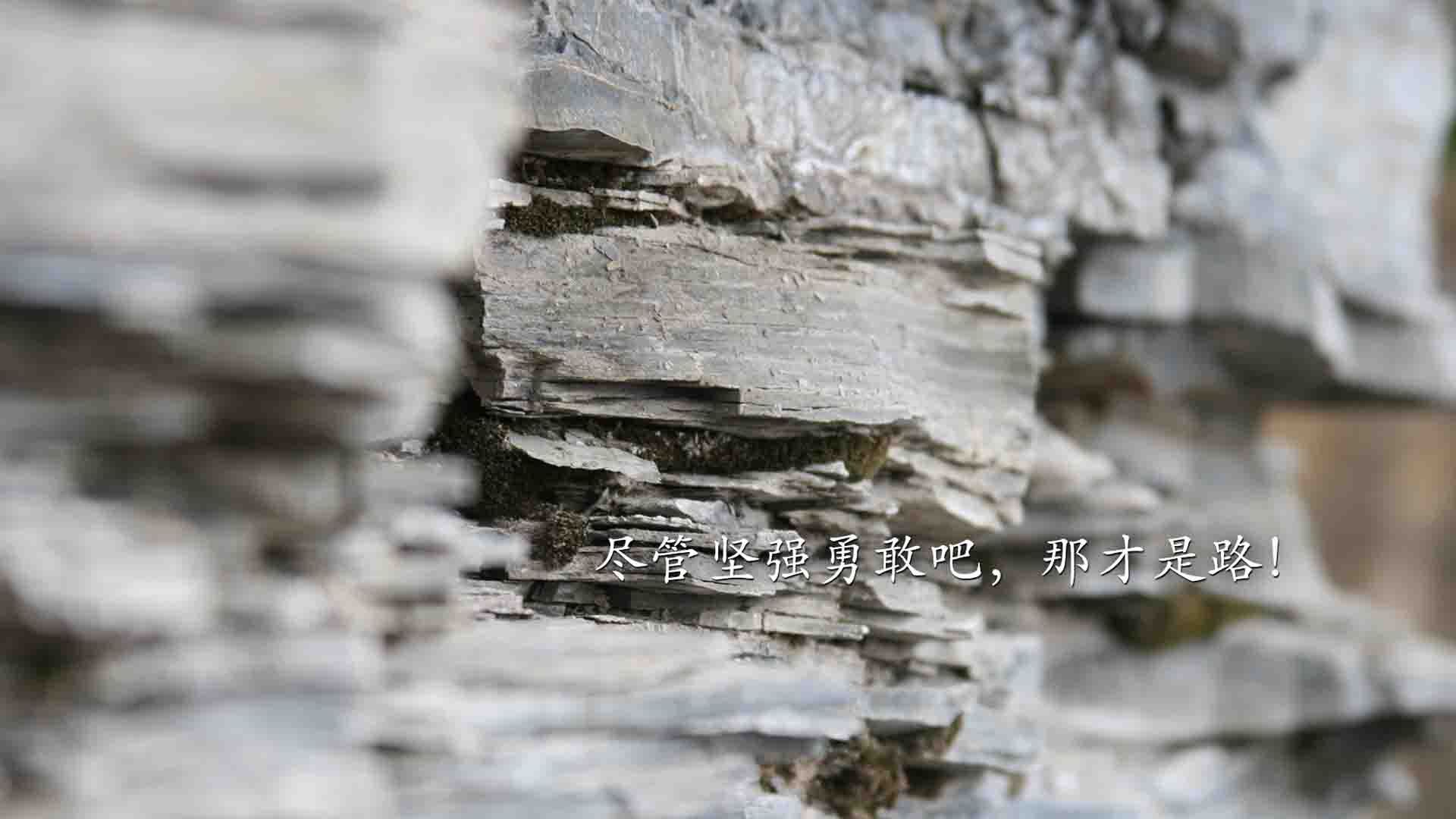 战术揭秘：为何某车队选择了不同的轮胎策略，不同车型的轮胎为什么不一样