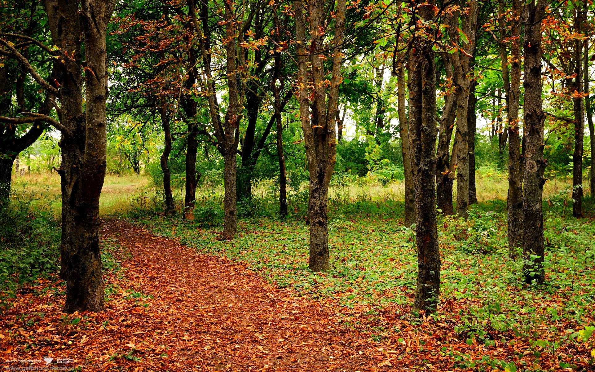 Kaiyun(中国)开云-史上最动人“冠军夜”全景回忆，《冠军》
